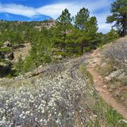 Horsetooth Mountain Park