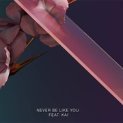 Never Be Like You - Flume Ft. Kai