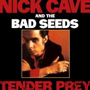 Nick Cave and the Bad Seeds - Tender Prey