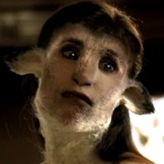 Seelengut - Sheep Wesen