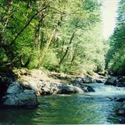 Washougal River
