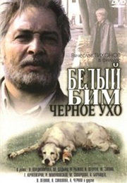 Belyy Bim Chernoe UKho (1977)