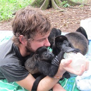 Jaguar Rescue Center