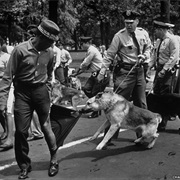 Birmingham Alabama - Charles Moore