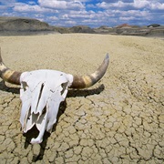 Death Valley, California