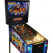 Own a Pinball Machine
