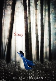Stray (Elissa Sussman)