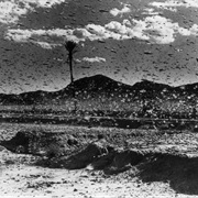 Rocky Mountain Locust Plagues - Midwestern US - 1870s