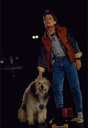 Back to the Future. (1985)