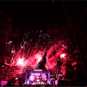 Lights, Camera, Happy New Year