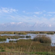 San Luis National Wildlife Refuge