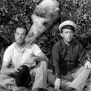 (We're off on The) Road to Morocco - Road to Morocco