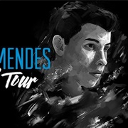 Shawn Mendes World Tour 2016