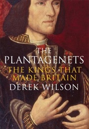 The Plantagenets (Derek Wilson)