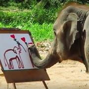 Elephant Painting
