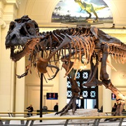 History And/Or Museums