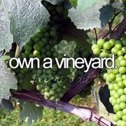Own a Vineyard