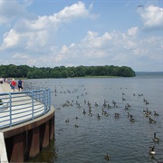 Pymatuning Reservoir