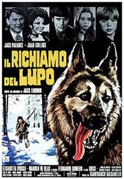 Il Richiamo Del Lupo
