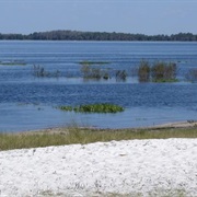 Lake Louisa State Park, Florida