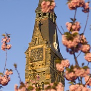 Georgetown University and Healy Hall