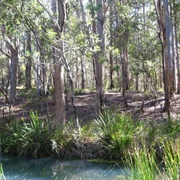 Crooked Creek National Park (NSW)