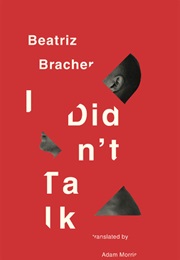 I Didn&#39;t Talk (Beatriz Bracher)