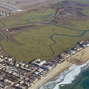 Tijuana Slough