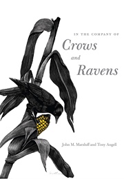 In the Company of Crows and Ravens (John M. Marzluff)