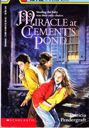 Miracle at Clements Pond (Patricia Pendergraft)