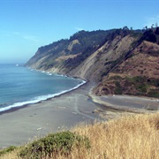 Sinkyone Wilderness State Park, California