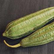 Silk Squash