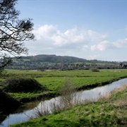 Brading Marshes