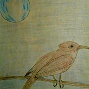 Nightingale Meagan Scribner