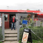 Flyvergrillen