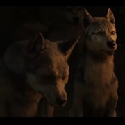 Wolves