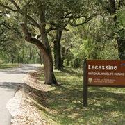 Lacassine National Wildlife Refuge