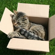 When They Love Boxes