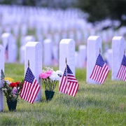 Arlington National Cemetery Arlington, (Virginia)