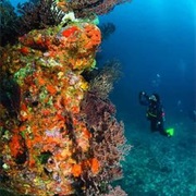 The Sister's, Tobago