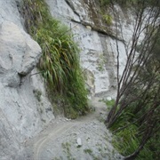 Mangapurua Track
