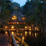 Sacha Lodge