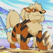 Arcanine