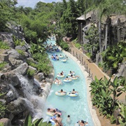 Typhoon Lagoon Castaway Creek
