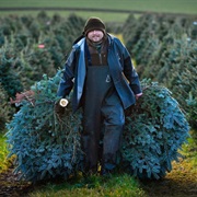 Buy Your Own Christmas Tree