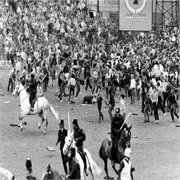 Fighting on the Pitch