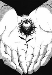 Aku No Hana (Oshimi Shuzo)