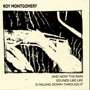 Roy Montgomery - And Now the Rain Sounds Like Life Is Falling Down Through It
