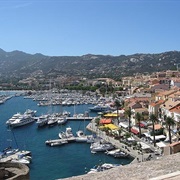Calvi