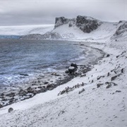 Livingston Island, Antarctica
